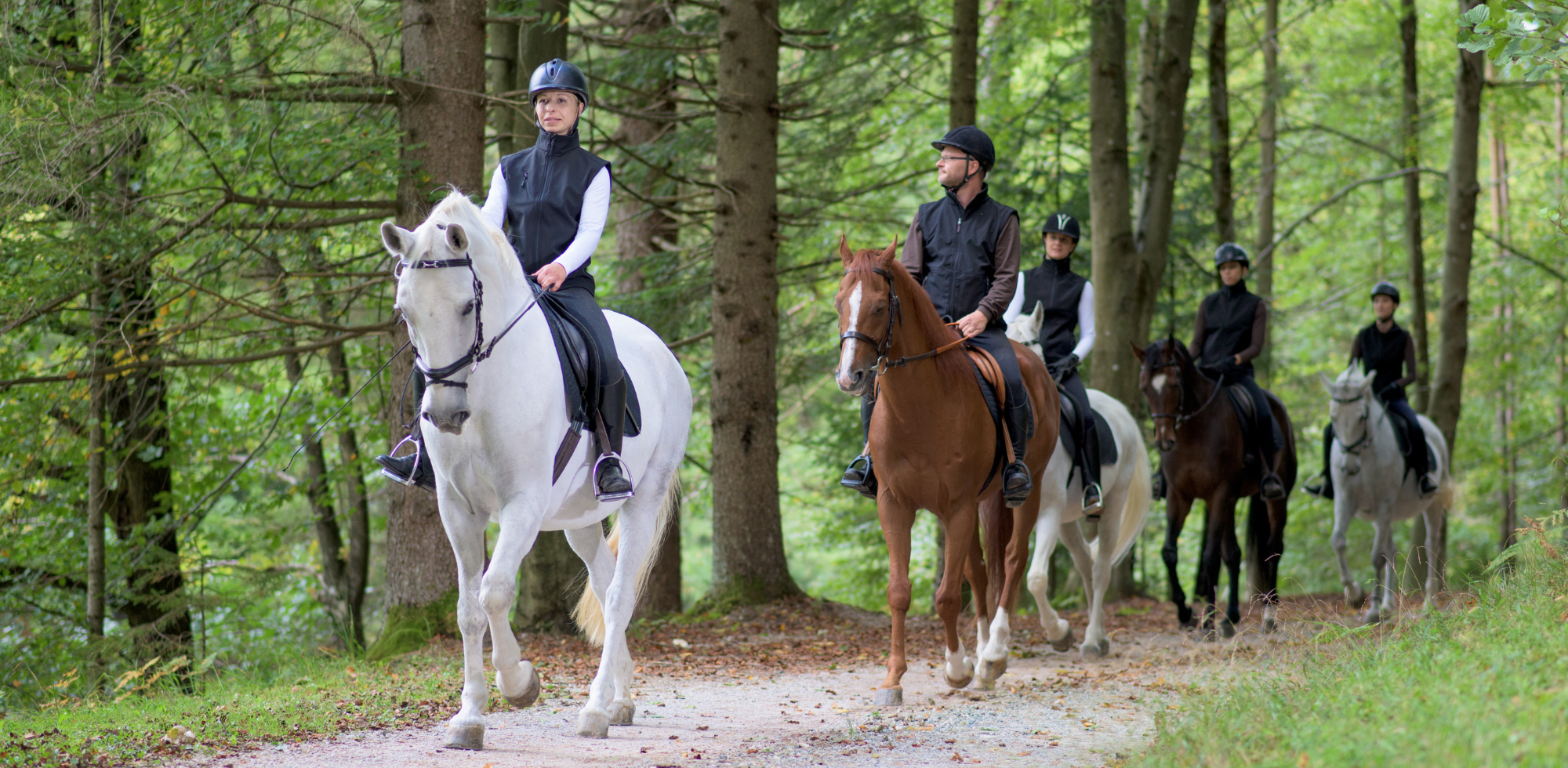 The Must-Have List for Anyone Who Wants to Start Horse Riding - Pine ...